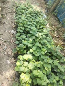 WhatsApp Image 2026-04-16 at 1.41.22 PM (1)