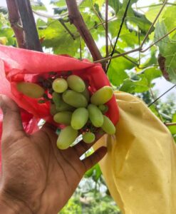 WhatsApp Image 2026-04-16 at 1.41.23 PM