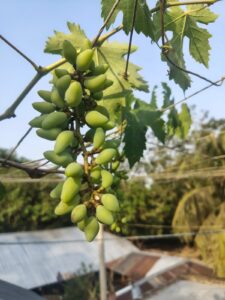 WhatsApp Image 2026-04-16 at 1.41.27 PM (1)